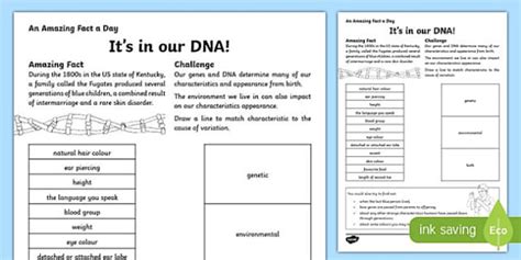 It’s in our DNA! Worksheet / Worksheet, worksheet - Twinkl