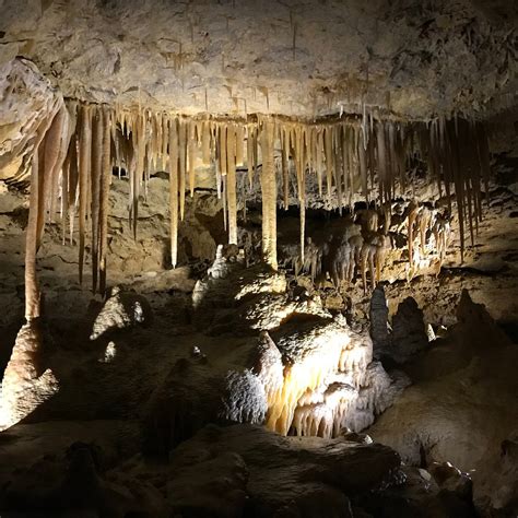 Naracoorte Caves National Park: All You Need to Know