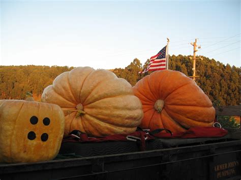 Farmer John's Pumpkin Farm - LocalHarvest