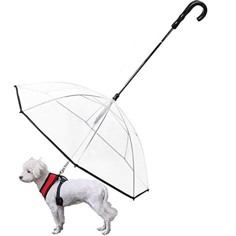 Best Dog Harnesses With Umbrellas