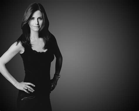 Courteney Cox Arquette - Monica Geller - Monica Geller Wallpaper ...