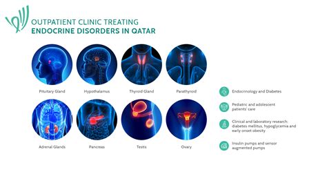 Endocrinology Np Certification - prntbl.concejomunicipaldechinu.gov.co