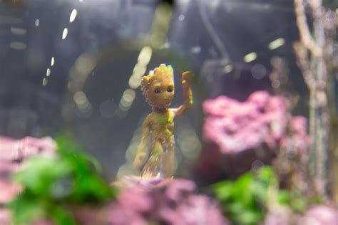 Figur Baby Groot aus Guardians of The Galaxy - Creative Commons Bilder