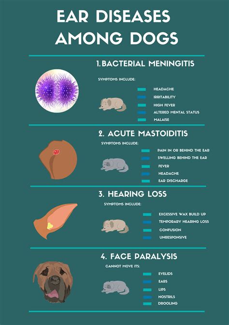 Complete Guide To Treating Dog Ear Infection With Home Remedies | Bark ...