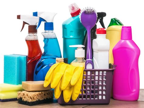 Four Common Cleaning Chemicals That Are Toxic to Pets - Paw Prints in ...