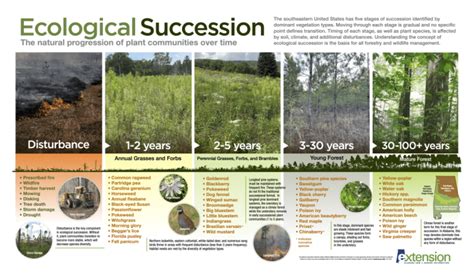 Ecological Succession: The Natural Progression of Plant Communities Over Time - Alabama ...