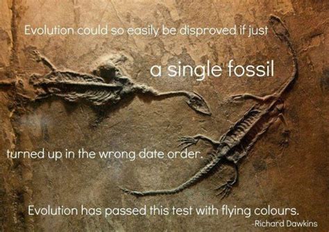 Facts to disprove the evolution theory