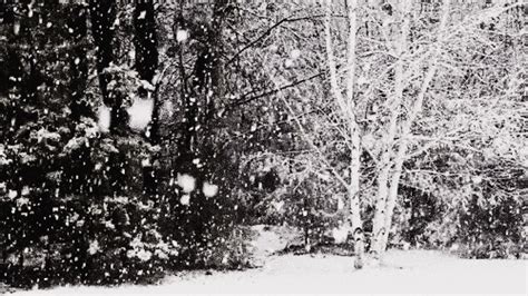 winter wonderland white christmas gif | WiffleGif