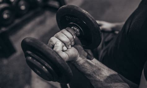 5 Best Dumbbell Forearm Exercises for Strength and Size