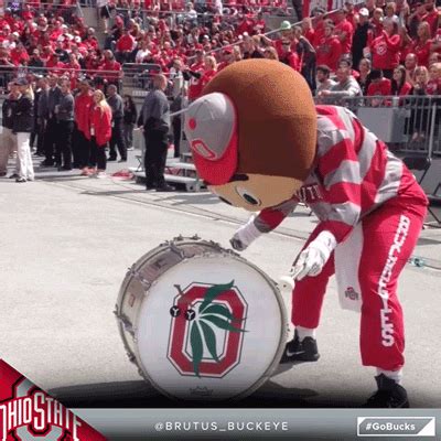 Ohio State Football GIFs - Find & Share on GIPHY