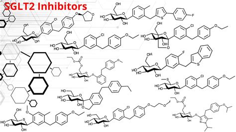 SGLT2 Inhibitors