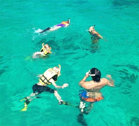 Find Islamorada snorkeling information here at Fla-Keys.com, The Official Tourism site of The ...