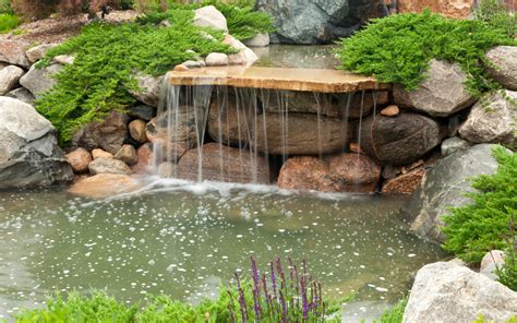 5 Reasons Why Rock Waterfalls Are a Must-Have for Your Backyard Pond ...