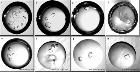 (IUCr) A simple and efficient innovation of the vapor-diffusion method ...