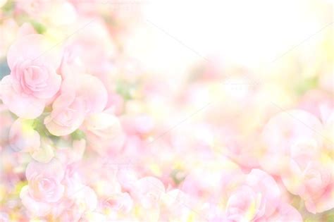 Soft sweet pink flower background containing background, flower, and ...