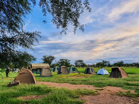 Everything You Need to Know About Camping in Serengeti National Park ...