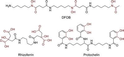 Frontiers | Extraction and Detection of Structurally Diverse ...