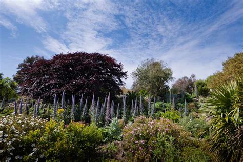 Ventnor Botanic Garden 2-for-1 entry - gardenersworld.com