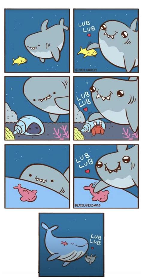 Lib Lub : r/AquariumMemes