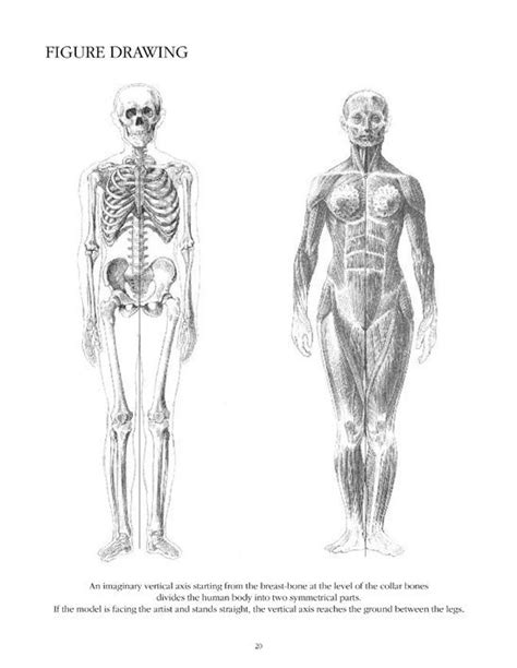 Anatomy Drawing School: Human Body - Buy book online - Ullmann Medien