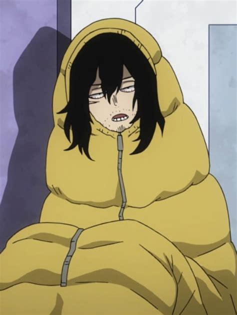 Aizawa Sleeping Bag | Anime