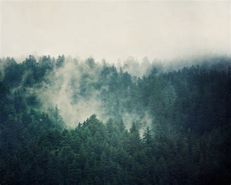 Foggy Forest Print Landscape Photography Nature Photography | Etsy ...