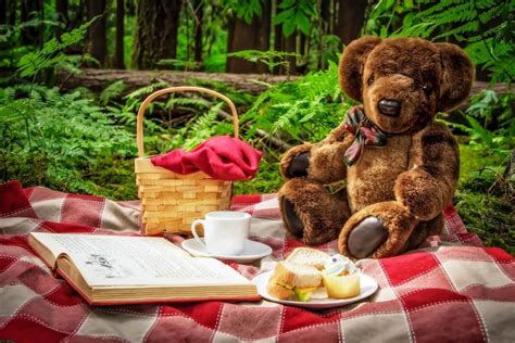 Teddy Bear Picnic Day - July 10, 2020 | Happy Days 365