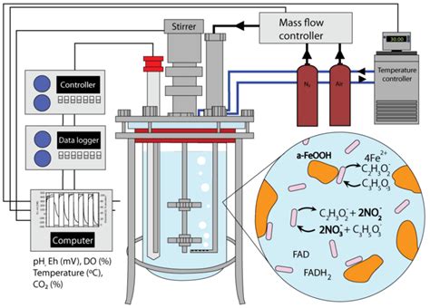 Bioreactor Easy Diagram