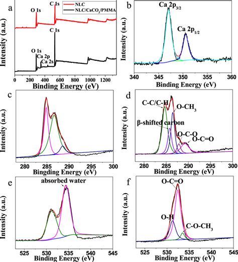 XPS spectra of (a) survey spectrum, (b) Ca 2p in NLC/CaCO3/PMMA... | Download Scientific Diagram