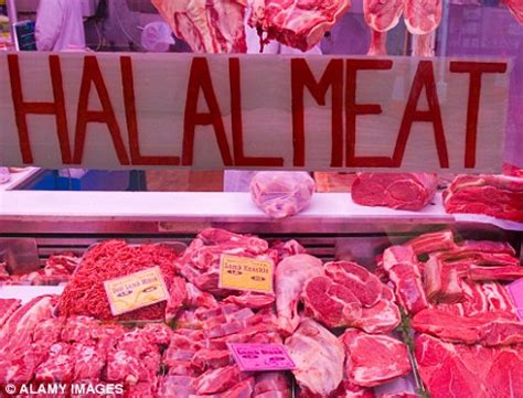 Halal meat is being served in schools, hospitals and pubs - even though vets say Islamic ...