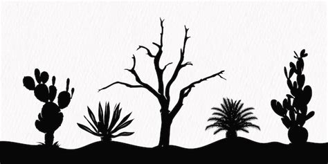 Premium Vector | Silhouette set of Desert plants desert trees cactus ...