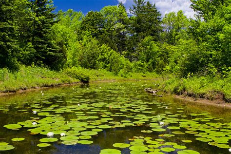 Schlitz Audubon Nature Center "Mystery Lake" | (C) Copyright… | Flickr