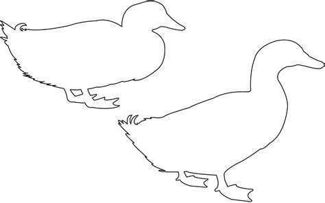 Ducks Silhouette | Free vector silhouettes