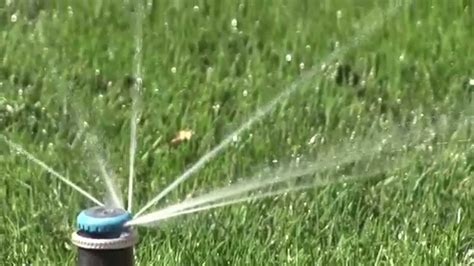 Different Types Of Sprinkler Heads For Landscaping (Buying Guide) | Ghyt Metal Dot Sprinkler ...