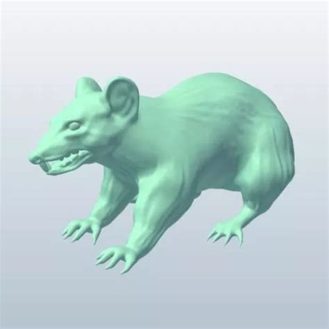 Rat 3D Models for Free Download - Open3dModel