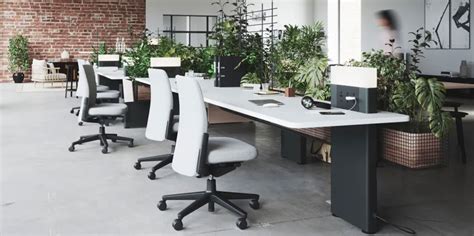 The best way to fix your open plan office? Plants, and lots of them ...