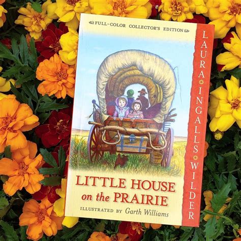 Little House on the Prairie | Little house, Beloved book, Prairie wedding