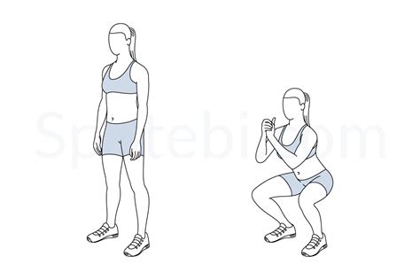 Squat | Illustrated Exercise Guide