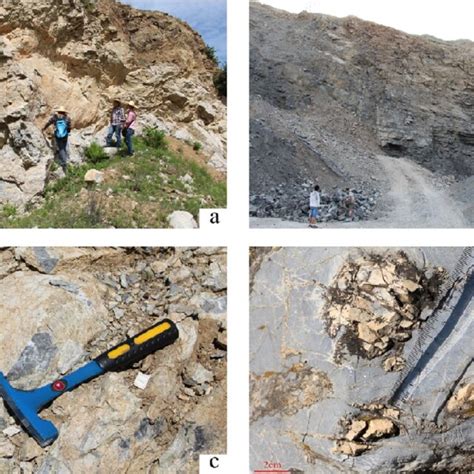 Sedimentary characteristics of the limited platform. (a) Micrite ...