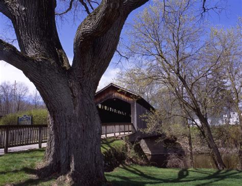 Parks in Grand Rapids, Michigan: A Nature Lover's Guide | Redfin