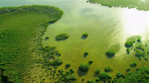 aerial view southern florida coastline region Stock Footage Video (100% ...