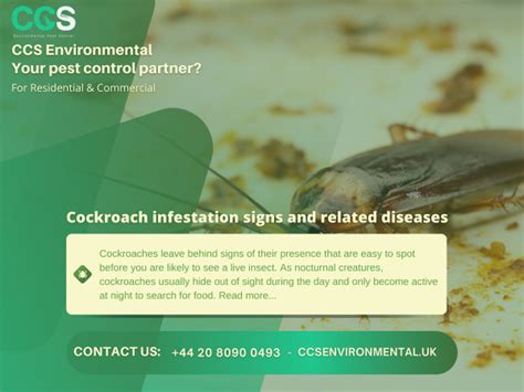 Cockroach infestation signs and related diseases - CCS Environmental ...