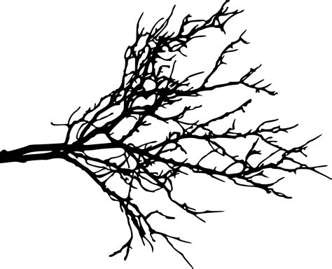 Silhouette Tree Branches at GetDrawings | Free download