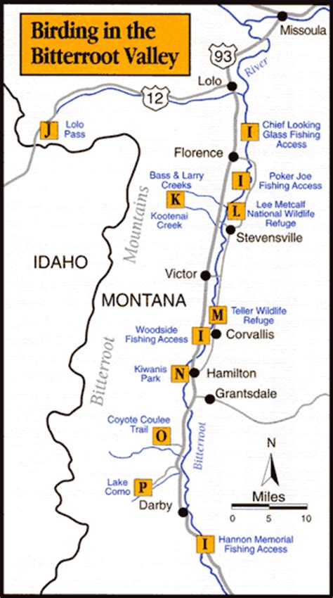 Bitterroot Birding Hotspots - Five Valleys Audubon