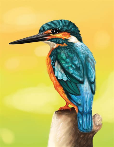 Kingfisher Digital Drawing | Vogel malen, Eisvogel, Vögel