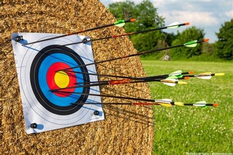 Archery targets - Guide to the perfect bow and arrow target