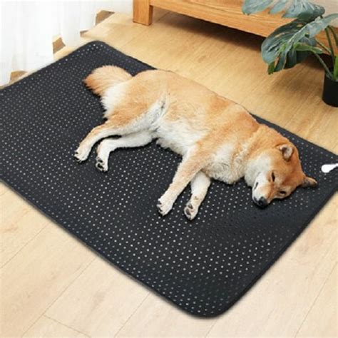 Earthing Pet Mat for Dogs - Connects Your Beloved Pet to the Earth for Healing and Restoration ...