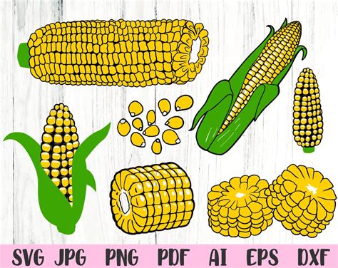 Corn Cob Art - Etsy