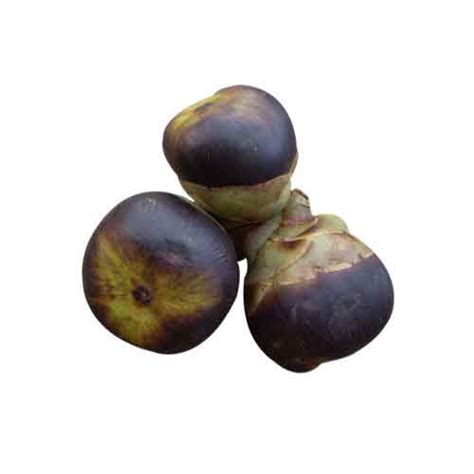 Nungu Fruit | Nutrition facts-Nungu Fruit | Health benefits