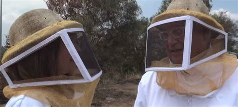 WATCH: US Ambassador Confronts Israel’s Bees to Catch Some Honey for ...